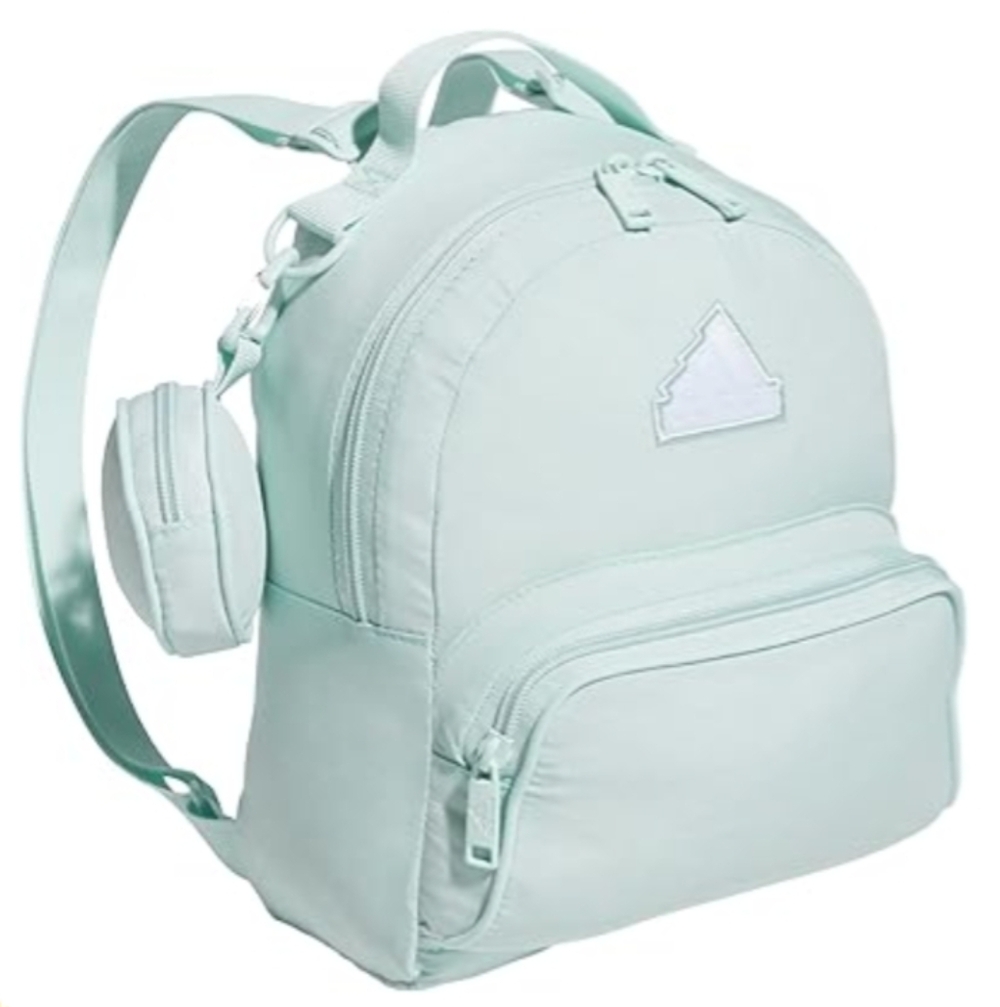 Mint Green Backpack with Multiple Compartments
